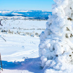 découvrez les vacances au ski en lozère, une destination idéale pour les amateurs de sports d'hiver ! profitez des paysages enchanteurs, de la neige fraîche et des nombreuses activités en montagne, pour un séjour inoubliable en famille ou entre amis.