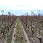 découvrez la lozère au salon 2025, un événement incontournable pour explorer les trésors naturels, culturels et gastronomiques de cette région magnifique. rencontrez des artisans locaux, participez à des ateliers immersifs et profitez d'animations festives qui mettront en lumière le patrimoine lozérien.