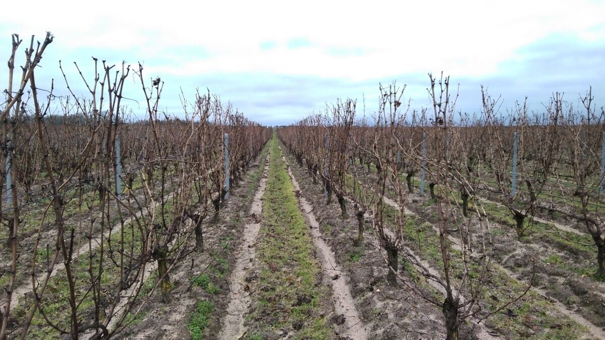découvrez la lozère au salon 2025, un événement incontournable pour explorer les trésors naturels, culturels et gastronomiques de cette région magnifique. rencontrez des artisans locaux, participez à des ateliers immersifs et profitez d'animations festives qui mettront en lumière le patrimoine lozérien.