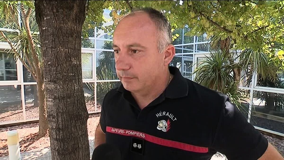 découvrez les détails de l'affaire des pompiers accusés dans l'hérault. analyse des événements, des témoignages et des enjeux liés à cette situation préoccupante qui touche les héros du quotidien.
