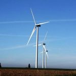 découvrez l'aigle éolienne de l'hérault, une merveille de la nature qui allie majesté et écologie. explorez l'importance de cet oiseau dans son habitat et les efforts de conservation pour protéger cette espèce emblématique.