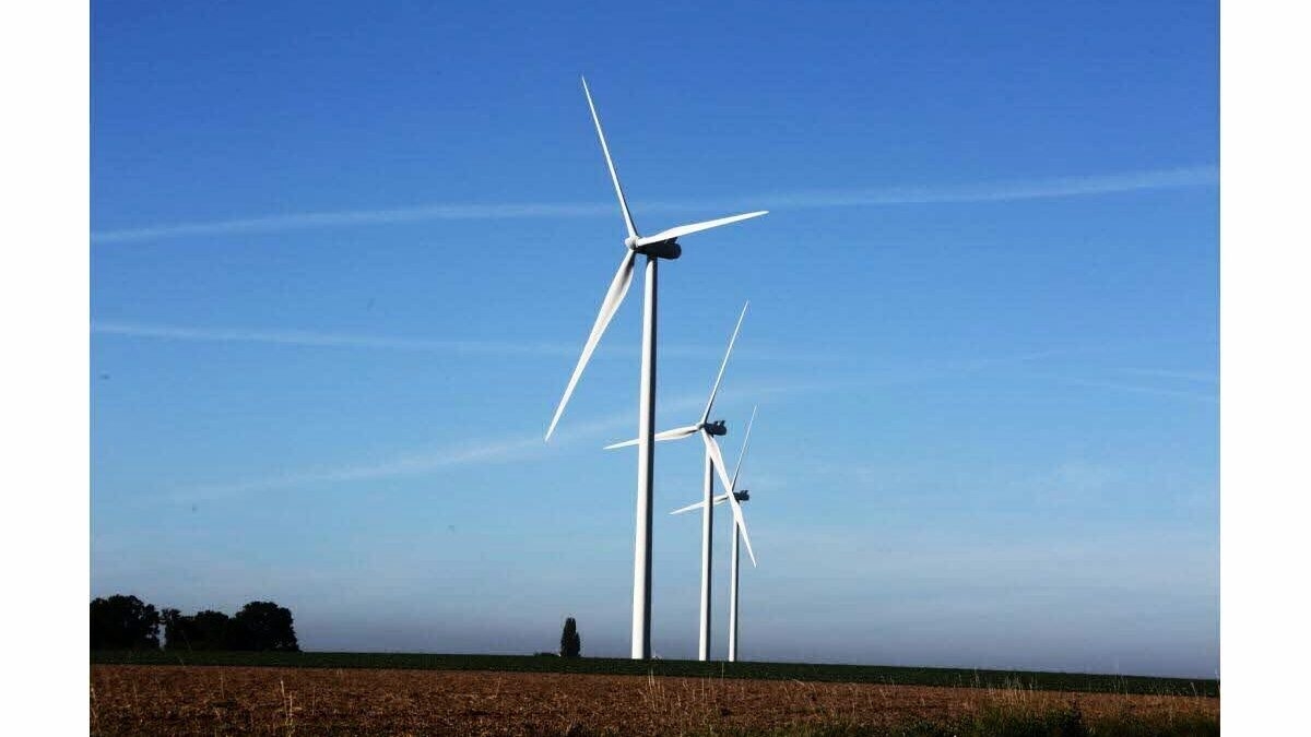 découvrez l'aigle éolienne de l'hérault, une merveille de la nature qui allie majesté et écologie. explorez l'importance de cet oiseau dans son habitat et les efforts de conservation pour protéger cette espèce emblématique.