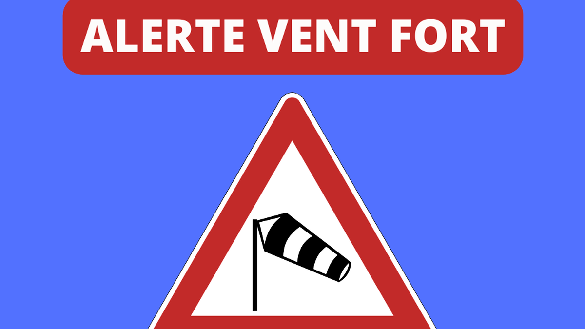 restez informé avec notre alerte vent fort. découvrez les prévisions météo et les conseils de sécurité pour vous protéger des conditions climatiques extrêmes. ne laissez pas le vent vous surprendre, soyez préparé!