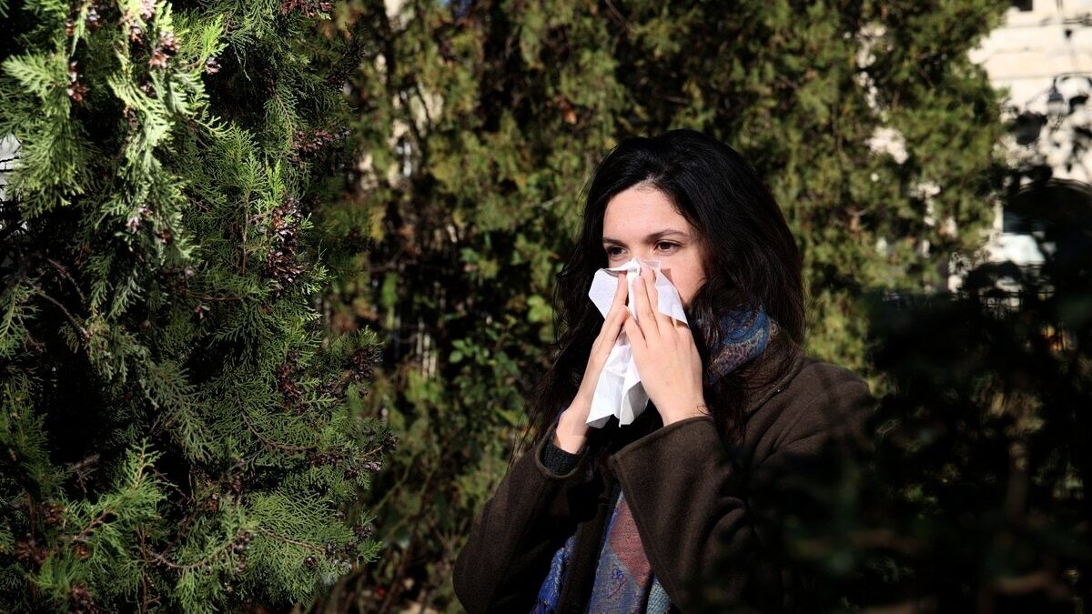 découvrez les informations essentielles sur les allergies aux pollens dans l'aveyron, en occitanie. renseignez-vous sur les types de pollens présents, les périodes de pollinisation, et des conseils pratiques pour mieux gérer vos allergies et profiter pleinement de la belle nature de la région.