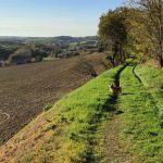 découvrez l'aveyron, une destination incontournable pour vos randonnées et explorations de villages pittoresques près de toulouse. partez à l'aventure au cœur de paysages époustouflants et plongez dans l'authenticité des villages chargés d'histoire.