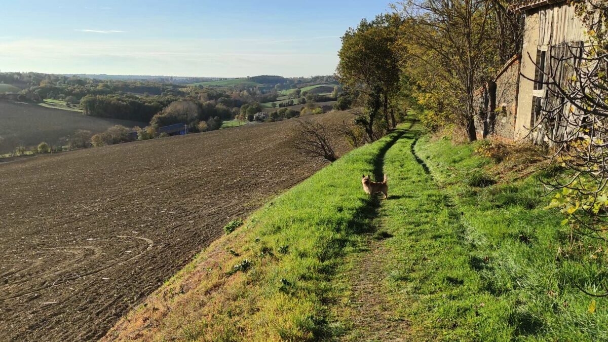 découvrez l'aveyron, une destination incontournable pour vos randonnées et explorations de villages pittoresques près de toulouse. partez à l'aventure au cœur de paysages époustouflants et plongez dans l'authenticité des villages chargés d'histoire.