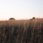 découvrez l'aveyron, une région où le soleil éclaire des paysages imprévus et captivants. explorez des villages pittoresques, savourez une cuisine locale délicieuse et vivez des aventures inoubliables en pleine nature.
