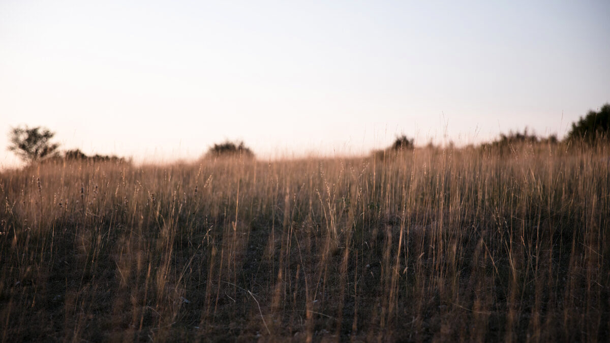 découvrez l'aveyron, une région où le soleil éclaire des paysages imprévus et captivants. explorez des villages pittoresques, savourez une cuisine locale délicieuse et vivez des aventures inoubliables en pleine nature.