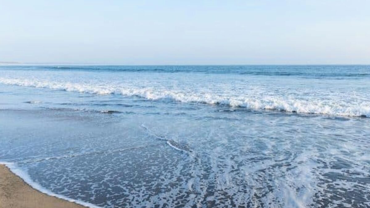 découvrez les atouts du corps d'une jeune femme dans l'hérault, entre beauté naturelle et vitalité. explorez les activités, les paysages et les inspirations qui mettent en valeur la jeunesse et l'énergie de cette région ensoleillée du sud de la france.