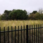 découvrez nos services de débroussaillement dans l'hérault pour entretenir vos espaces verts et préserver votre propriété. bénéficiez d'un travail soigné et professionnel pour éliminer les broussailles et favoriser la biodiversité.