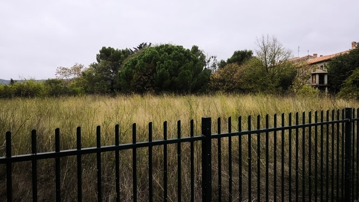 découvrez nos services de débroussaillement dans l'hérault pour entretenir vos espaces verts et préserver votre propriété. bénéficiez d'un travail soigné et professionnel pour éliminer les broussailles et favoriser la biodiversité.