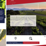 découvrez comment duo lozère a obtenu le label rse, témoignant de son engagement en faveur de la responsabilité sociétale des entreprises. une reconnaissance qui souligne les initiatives durables et éthiques de cette entreprise, contribuant à un avenir meilleur.