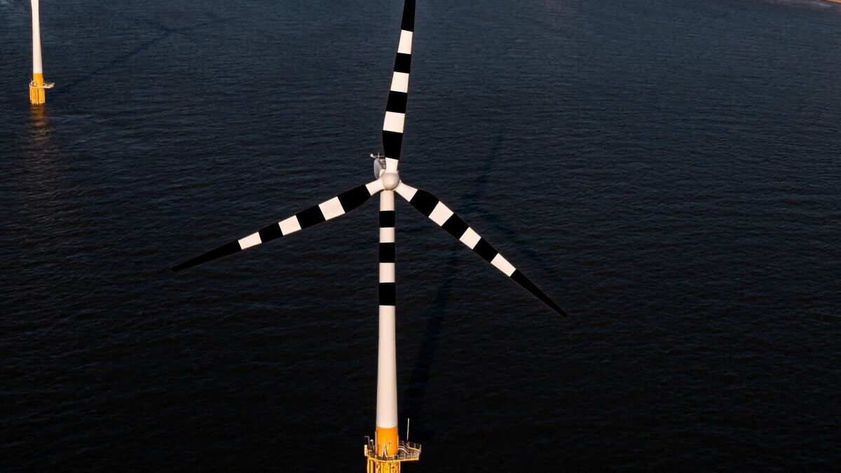 découvrez l'impact des éoliennes sur la faune aviaire. cet article explore les interactions entre les énergies renouvelables et la biodiversité, en mettant en lumière les défis et les solutions pour protéger les oiseaux tout en développant des sources d'énergie durables.