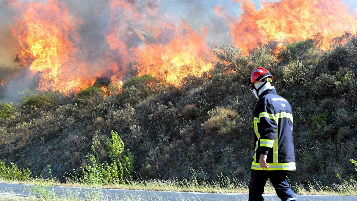 découvrez les erreurs fréquemment rencontrées au tribunal de gabian concernant le sdis. informez-vous sur les enjeux juridiques, les procédures et les implications de ces erreurs pour une meilleure compréhension du système judiciaire.