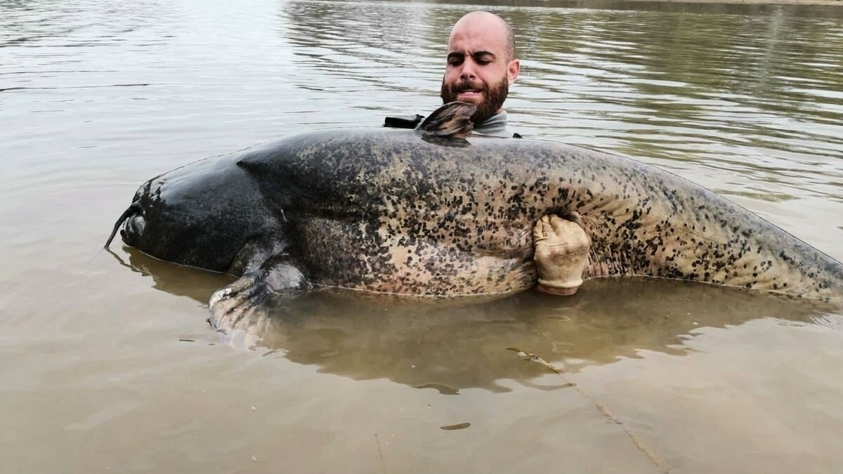 découvrez toutes les informations sur la fin des subventions pour la pêche loisir dans le tarn-et-garonne. renseignez-vous sur les impacts et les mesures à prendre pour continuer à profiter de votre passion.