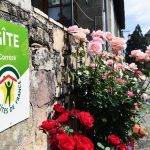 découvrez notre sélection de gîtes en france spécialement conçus pour les entrepreneurs. que vous soyez en déplacement professionnel ou à la recherche d'un espace inspirant pour travailler, nos gîtes offrent confort, connectivité et un cadre propice à la créativité.