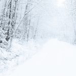 découvrez la magie de l'hiver en aveyron : paysages enneigés, activités de pleine nature, gastronomie locale réconfortante et charmants villages. vivez des moments inoubliables au cœur des traditions et de la beauté naturelle de cette vallée pittoresque.