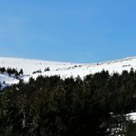 découvrez la beauté de la lozère sous la pluie hivernale. explorez des paysages enchanteurs, des charmants villages et des activités captivantes. un hiver pluvieux en lozère promet aventure et sérénité.