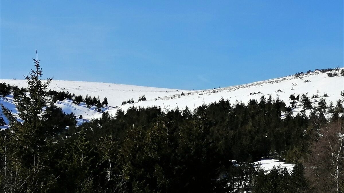 découvrez la beauté de la lozère sous la pluie hivernale. explorez des paysages enchanteurs, des charmants villages et des activités captivantes. un hiver pluvieux en lozère promet aventure et sérénité.