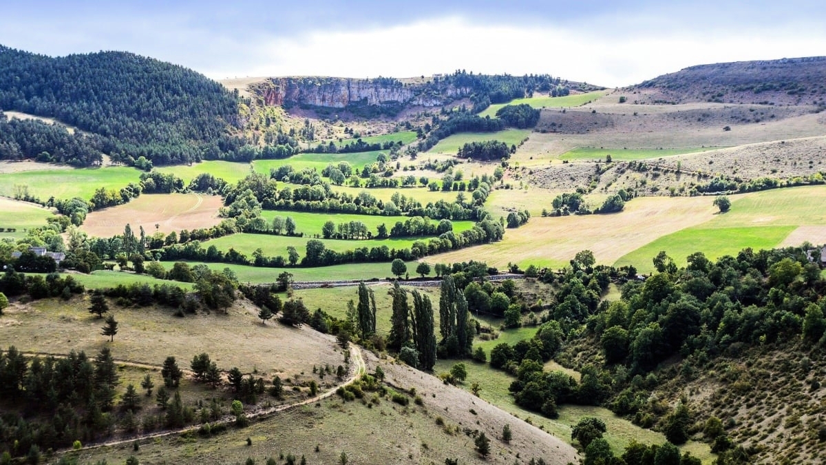 découvrez la lozère, une région préservée où quatre classes de paysages uniques coexistent. une invitation à explorer des sites naturels saisissants, à profiter d'activités authentiques et à plonger dans un riche patrimoine culturel. idéal pour les amoureux de la nature et les adeptes de tranquillité.