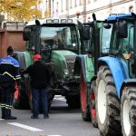 découvrez comment la mobilisation en lozère exige la démission de la présidente de la chambre d'agriculture, révélant des tensions croissantes au sein du secteur agricole local et les enjeux qui en découlent.