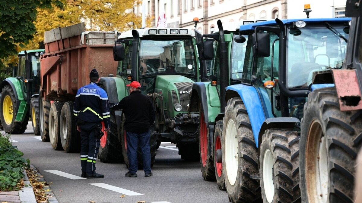 découvrez comment la mobilisation en lozère exige la démission de la présidente de la chambre d'agriculture, révélant des tensions croissantes au sein du secteur agricole local et les enjeux qui en découlent.