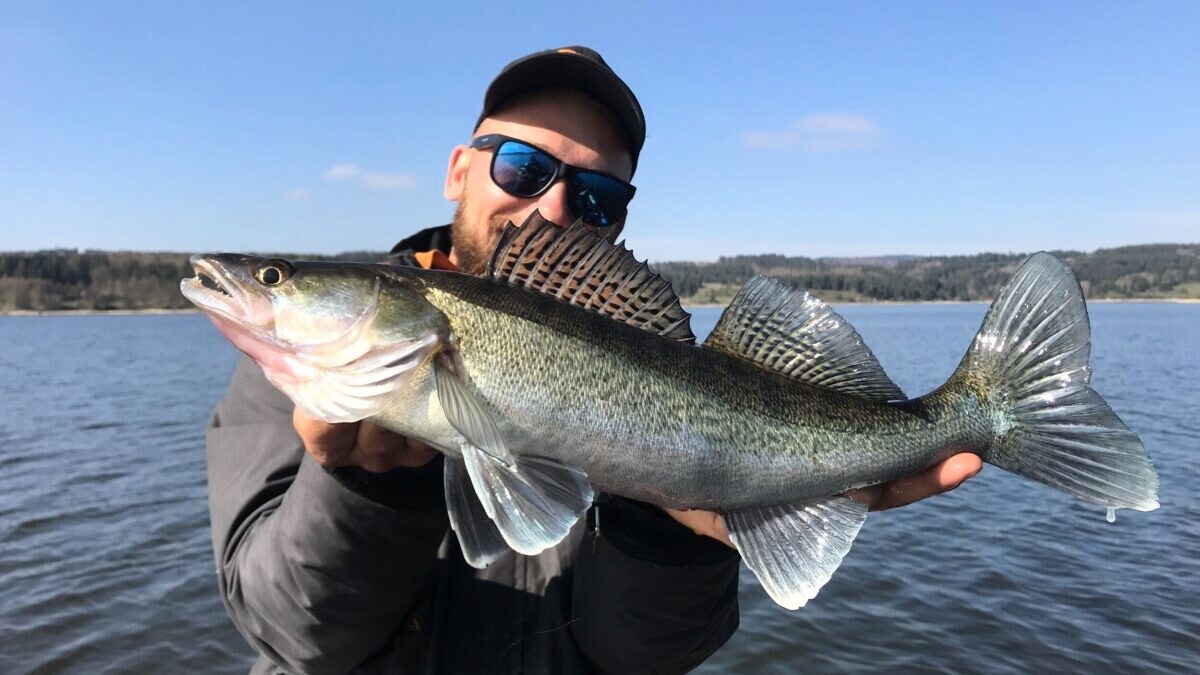 découvrez la pêche en lozère, un paradis pour les amateurs d'activités aquatiques. profitez de paysages enchanteurs, de rivières cristallines et d'une riche biodiversité. que vous soyez débutant ou pêcheur expérimenté, la lozère vous offre des spots exceptionnels pour vivre des moments inoubliables au bord de l'eau.