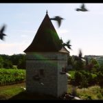 découvrez les meilleures plantations dans le tarn : conseils, astuces et variétés pour un jardin florissant. transformez votre espace extérieur en un véritable havre de paix grâce à nos recommandations adaptées au climat et au sol de la région.