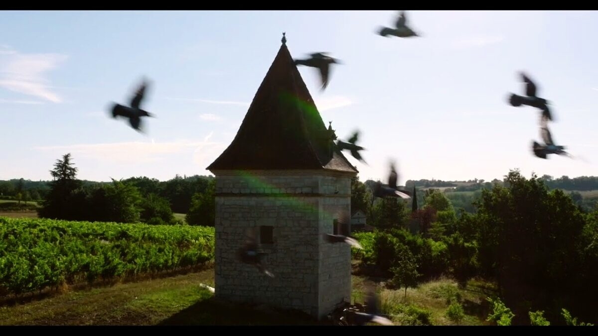 découvrez les meilleures plantations dans le tarn : conseils, astuces et variétés pour un jardin florissant. transformez votre espace extérieur en un véritable havre de paix grâce à nos recommandations adaptées au climat et au sol de la région.