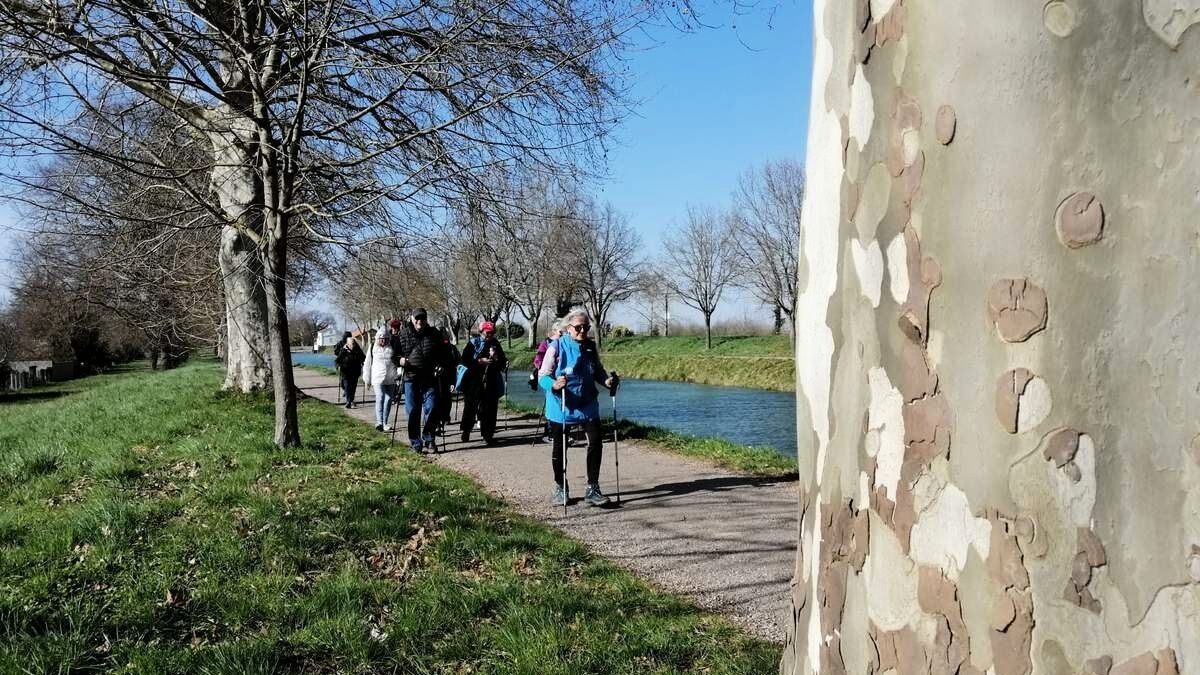 découvrez la beauté des paysages printaniers lors de notre randonnée traditionnelle. partez à l'aventure au cœur de la nature, profitez de l'air frais et admirez la floraison. une expérience inoubliable idéale pour les amoureux de la nature.