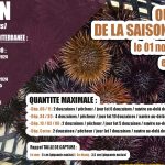 découvrez tout ce que vous devez savoir sur la saison de pêche 2025 : dates, réglementations, meilleures techniques et lieux de pêche incontournables. préparez-vous pour une expérience inoubliable au bord de l'eau!