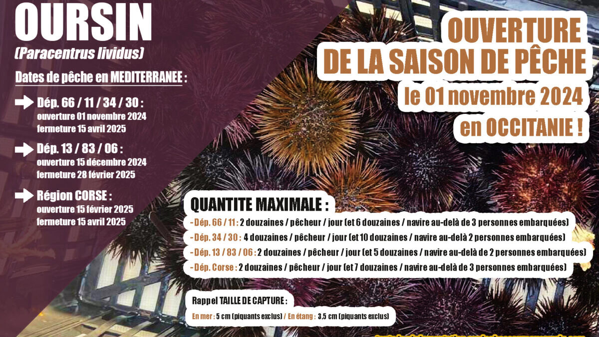 découvrez tout ce que vous devez savoir sur la saison de pêche 2025 : dates, réglementations, meilleures techniques et lieux de pêche incontournables. préparez-vous pour une expérience inoubliable au bord de l'eau!