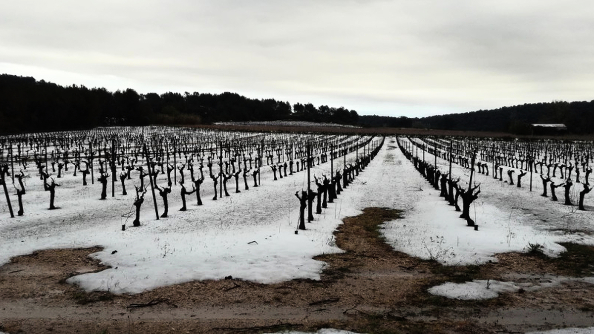 découvrez les conséquences des tempêtes de grêle sur l'aveyron. analyse des dommages agricoles, impacts sur l'environnement et mesures de réhabilitation dans cette région frappée par des événements climatiques extrêmes.