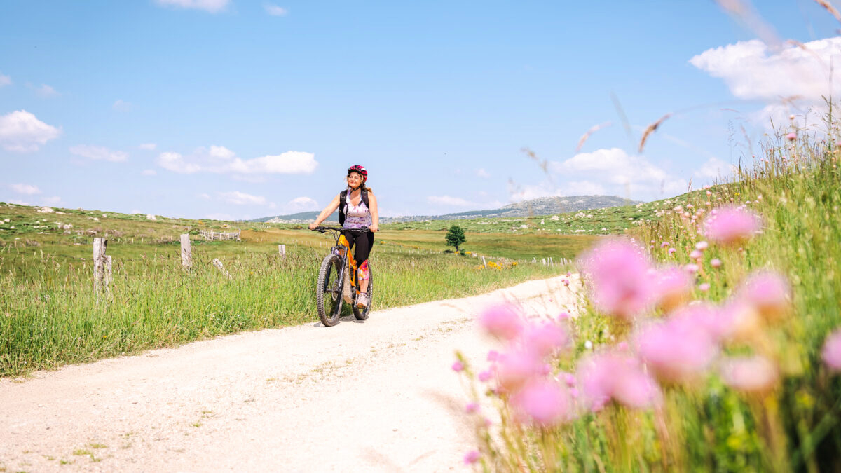 découvrez les temps forts de la lozère, une région riche en paysages naturels époustouflants, en patrimoine culturel et en aventures en plein air. explorez les événements marquants, les traditions locales et les activités incontournables qui font de la lozère une destination unique à ne pas manquer.