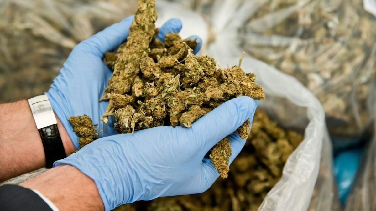 découvrez les enjeux liés au trafic de stupéfiants dans l'hérault. informez-vous sur les actions des autorités, les conséquences sociales et les initiatives de prévention face à ce fléau. restez conscient des dangers et des réalités du marché des drogues dans cette région.