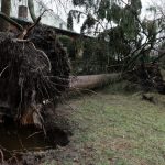 découvrez les impacts des vents forts dans le tarn et la haute-garonne. informez-vous sur les alertes météo, les conseils de sécurité et les activités à éviter lors des tempêtes de vent dans ces départements.
