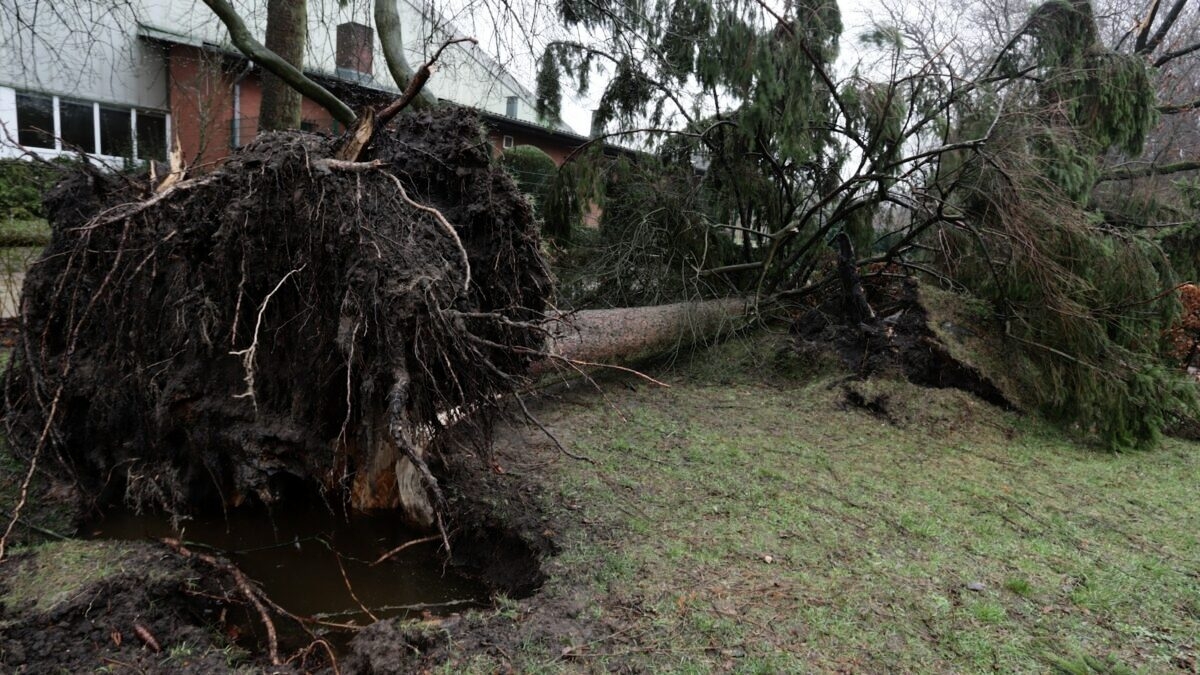 découvrez les impacts des vents forts dans le tarn et la haute-garonne. informez-vous sur les alertes météo, les conseils de sécurité et les activités à éviter lors des tempêtes de vent dans ces départements.