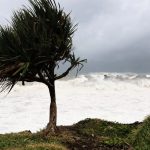 découvrez les caractéristiques du vent orange dans le tarn et la haute-garonne, un phénomène météorologique impressionnant qui influence le climat et l'environnement de cette région. restez informé sur les prévisions et les impacts de ce vent puissant.