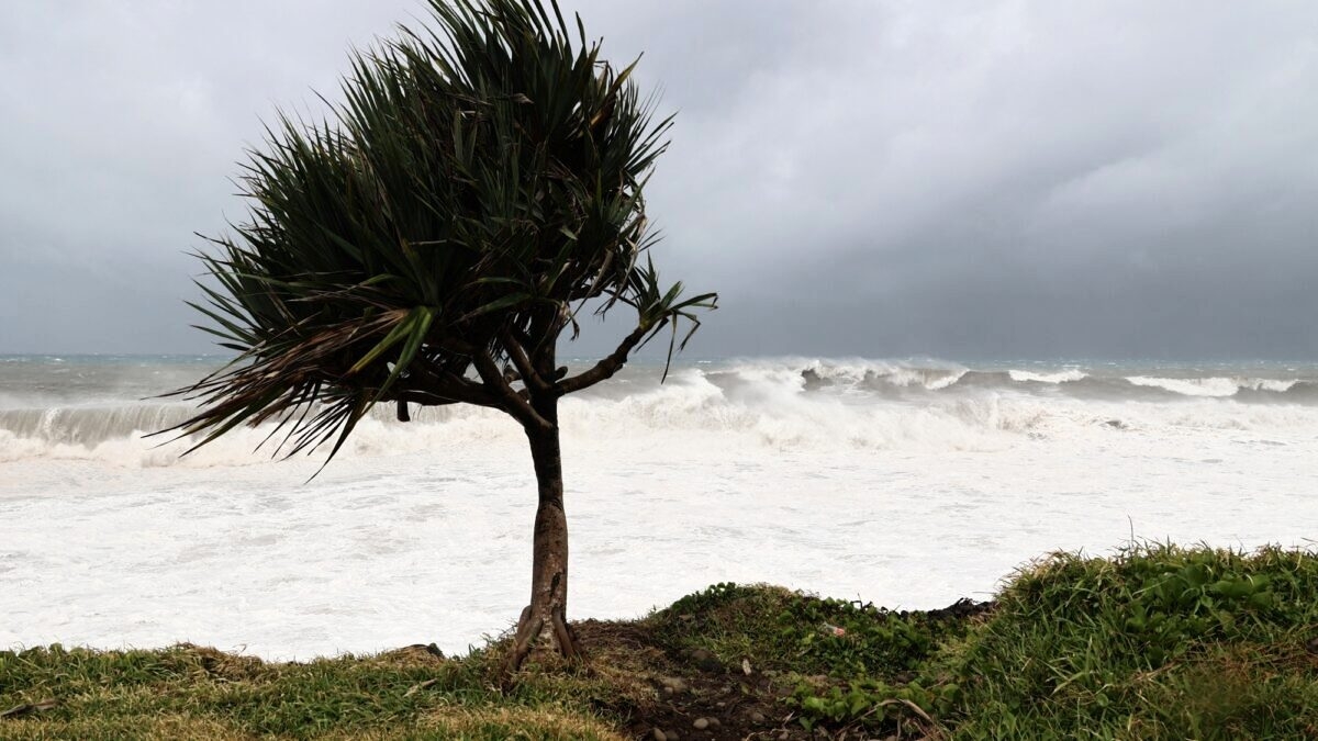 découvrez les caractéristiques du vent orange dans le tarn et la haute-garonne, un phénomène météorologique impressionnant qui influence le climat et l'environnement de cette région. restez informé sur les prévisions et les impacts de ce vent puissant.