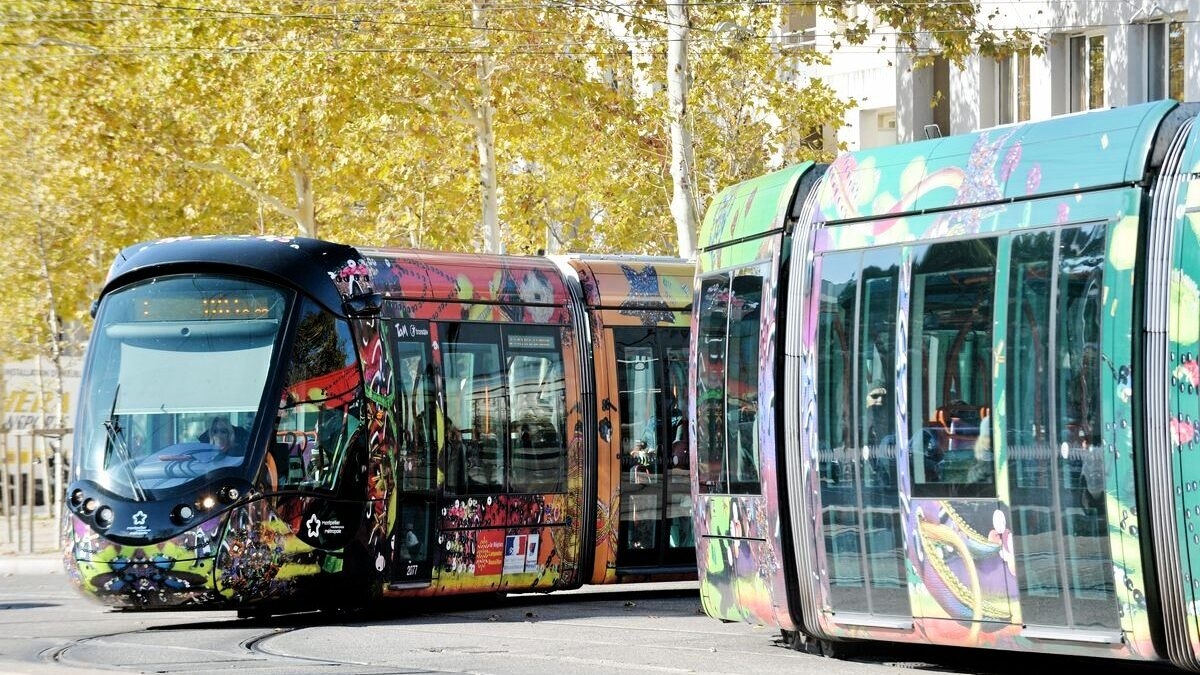 découvrez les détails sur l'affaire du violeur en série dans l'hérault, une enquête choc qui met en lumière les crimes odieux commis dans cette région. plongez au cœur des témoignages et des investigations pour comprendre l'ampleur de cette tragédie.