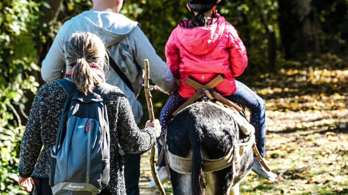 découvrez un week-end inoubliable de glisse au mont lozère, où les paysages majestueux et les activités sportives vous attendent. profitez des pistes de ski, de la randonnée et des panoramas à couper le souffle dans un cadre naturel exceptionnel.
