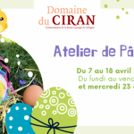 découvrez les meilleures activités pour célébrer pâques en 2025 dans l'hérault. des chasses aux œufs aux animations familiales, profitez d'un vaste choix d'événements pour petits et grands dans cette région ensoleillée.