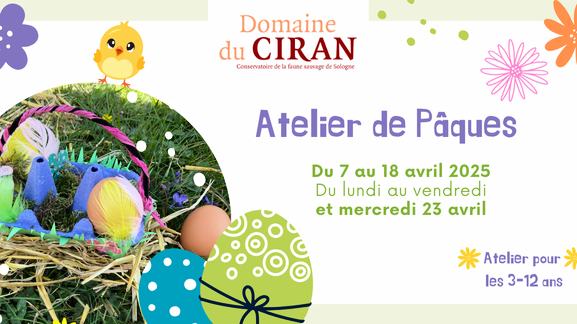 découvrez les meilleures activités pour célébrer pâques en 2025 dans l'hérault. des chasses aux œufs aux animations familiales, profitez d'un vaste choix d'événements pour petits et grands dans cette région ensoleillée.