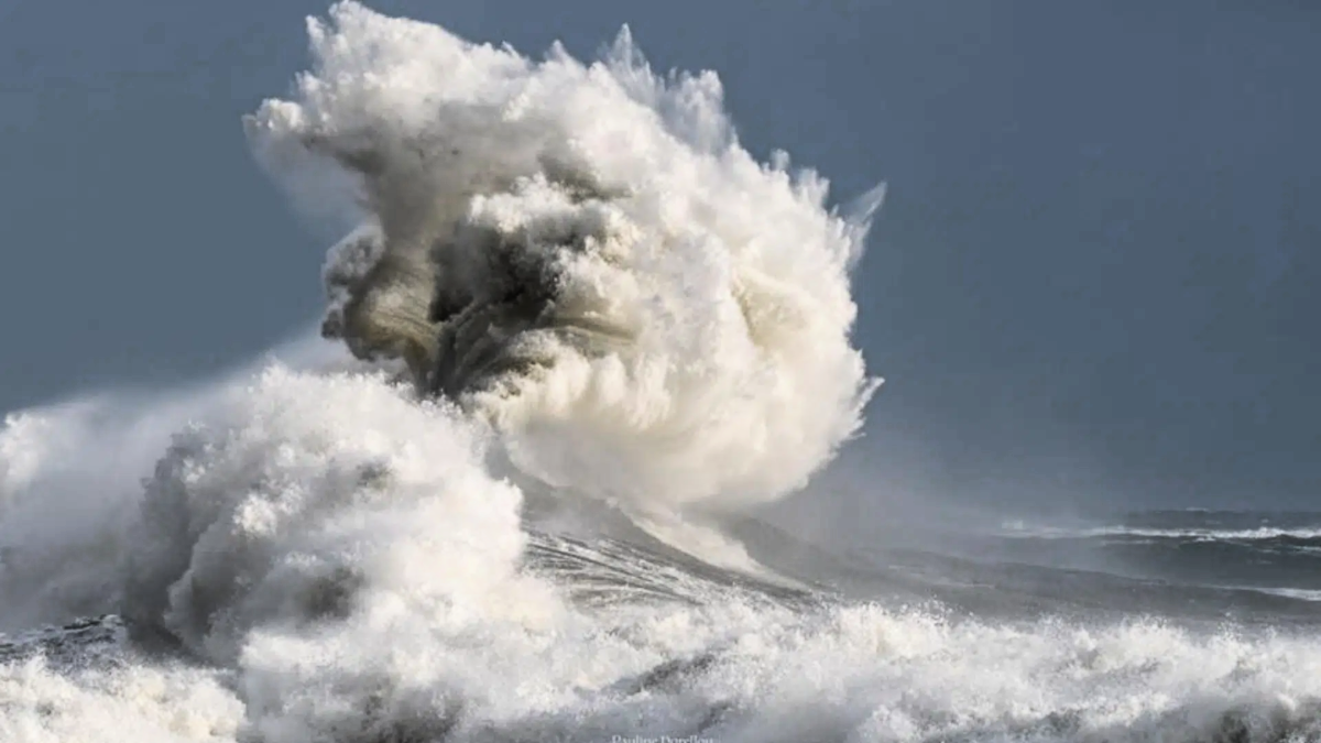 restez informé avec notre alerte hérault : recevez les dernières nouvelles et alertes locales concernant la météo, les événements et la sécurité dans le département. soyez toujours à jour pour protéger votre famille et votre communauté.