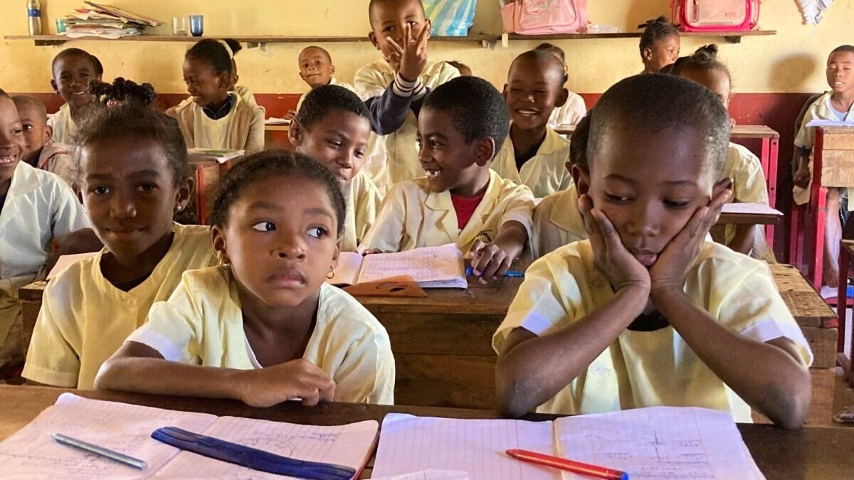 découvrez l'association tarn madagascar, engagée dans le développement durable et la coopération entre la france et madagascar. rejoignez-nous pour soutenir des projets humanitaires et environnementaux au cœur de l'île rouge.