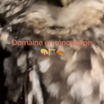 découvrez l'aveyron à travers les yeux de catherine et stéphane, les nouveaux propriétaires qui vous invitent à vivre une expérience authentique au cœur de cette région magnifique. entre paysages à couper le souffle et traditions locales, plongez dans leur aventure et laissez-vous séduire par les trésors de l'aveyron.