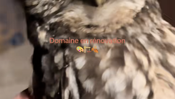 découvrez l'aveyron à travers les yeux de catherine et stéphane, les nouveaux propriétaires qui vous invitent à vivre une expérience authentique au cœur de cette région magnifique. entre paysages à couper le souffle et traditions locales, plongez dans leur aventure et laissez-vous séduire par les trésors de l'aveyron.