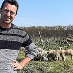 découvrez la fascinante race de brebis tuffery en lozère, à l'approche de la période de mi-mai. explorez leurs caractéristiques uniques, leur habitat et l'importance de cette espèce dans la culture locale. ne manquez pas l'occasion d'en apprendre davantage sur ces animaux emblématiques !