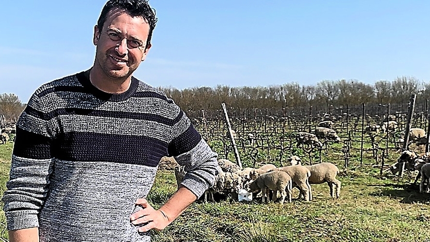 découvrez la fascinante race de brebis tuffery en lozère, à l'approche de la période de mi-mai. explorez leurs caractéristiques uniques, leur habitat et l'importance de cette espèce dans la culture locale. ne manquez pas l'occasion d'en apprendre davantage sur ces animaux emblématiques !