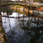 découvrez cabirol, une plateforme innovante dédiée aux passionnés de la nature et des activités en plein air. explorez des conseils, des astuces et des produits pour profiter pleinement de vos aventures en extérieur.